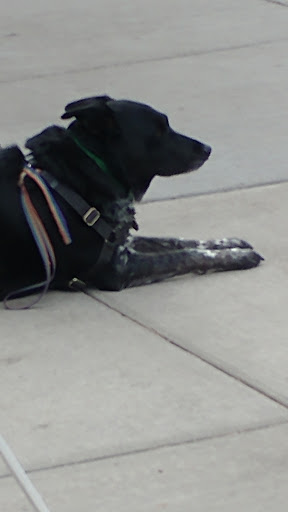 Park «Benedict Fountain Park», reviews and photos, 401 E 20th Ave, Denver, CO 80205, USA