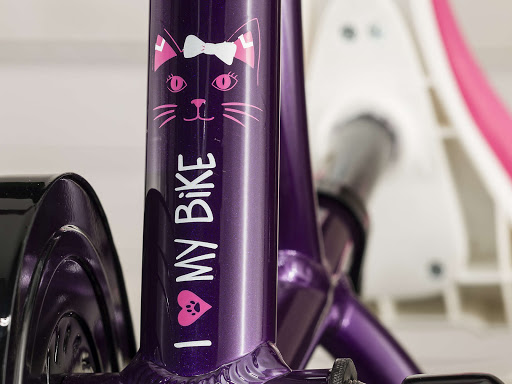 Bicycle Store «Trek Bicycle Store of Charlotte - South», reviews and photos, 12194 Johnston Rd #110, Charlotte, NC 28277, USA