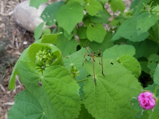 Nature Preserve «Bob Jones Nature Center», reviews and photos, 355 Bob Jones Rd, Southlake, TX 76092, USA