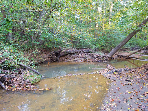 Nature Preserve «Governor Bridge Natural Area», reviews and photos, 7600 Governor Bridge Rd, Bowie, MD 20716, USA