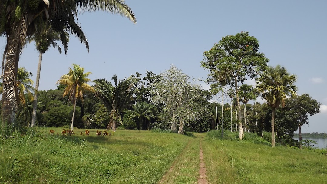 Mbandaka, Kongo Demokratik Cumhuriyeti