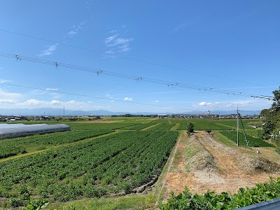 青柳広場
