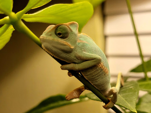 Pet Supply Store «Petco Animal Supplies», reviews and photos, 1410 N Loop 336 W, Conroe, TX 77304, USA