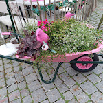 Photo n°6 de l'avis de Heike.a fait le 08/08/2022 à 18:08 sur le  SISSI confectionery & Café à Kempten