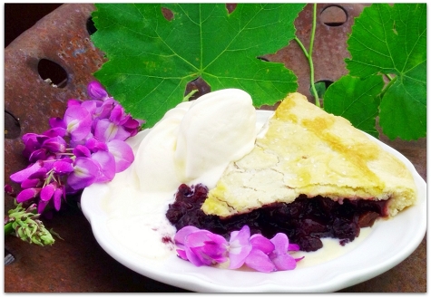 Family Restaurant «Blueberry Hills Farm», reviews and photos, 1315 Washington St, Manson, WA 98831, USA