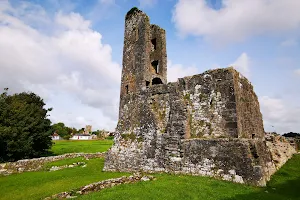 Glanworth Castle image