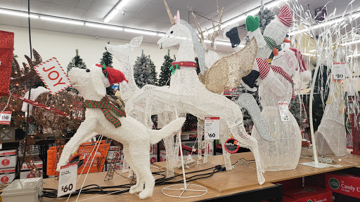 Discount Store «Big Lots», reviews and photos, 10603 E Apache Trail, Apache Junction, AZ 85120, USA