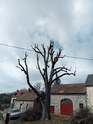 Etf Gauthier: Élagueur grimpeur en creuse à Champagnat