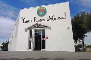 Centro Paloma Mariscal image