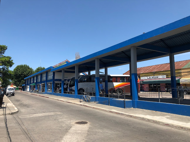 Opiniones de Terminal de omnibus San Carlos en Maldonado - Centro comercial