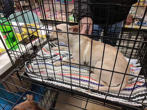 Pet Supply Store «PetSmart», reviews and photos, 1116 S Rochester Rd, Rochester Hills, MI 48307, USA