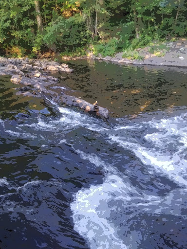Water Park «Helen Tubing & Helen Water Park», reviews and photos, 222 Edelweiss Strasse, Helen, GA 30545, USA