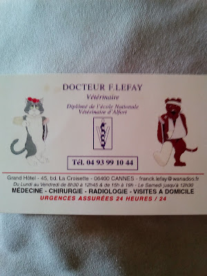 Docteur Lefay Franck à Cannes