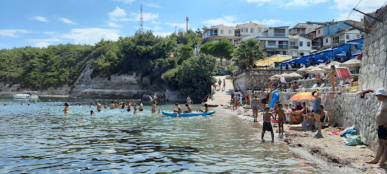 Ayı Balıdi Koyu