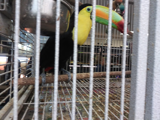 Pet Supply Store «Melis Granero Pet Shop Feed&Supply», reviews and photos, 224 E Foothill Blvd, Rialto, CA 92376, USA