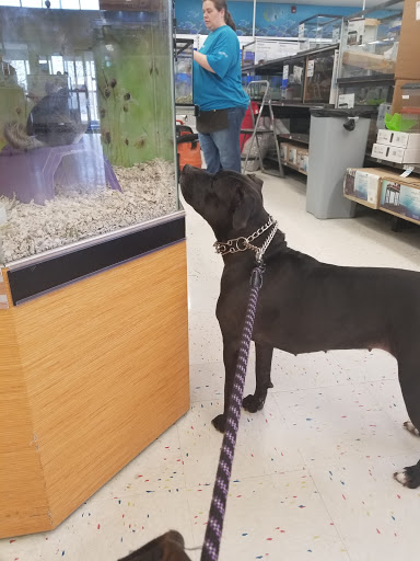 Pet Supply Store «Petco Animal Supplies», reviews and photos, 825 Hartford Turnpike, Waterford, CT 06385, USA