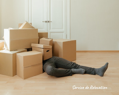 OMNIREA | Relocation et Assistant personnel à Chartres à Chartres