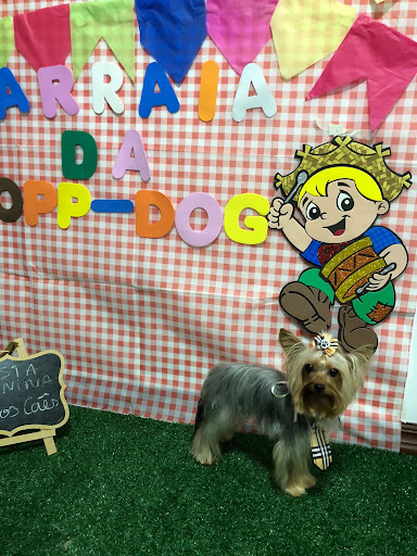 Logo da empresa - Chopp Dog Pet e Resort