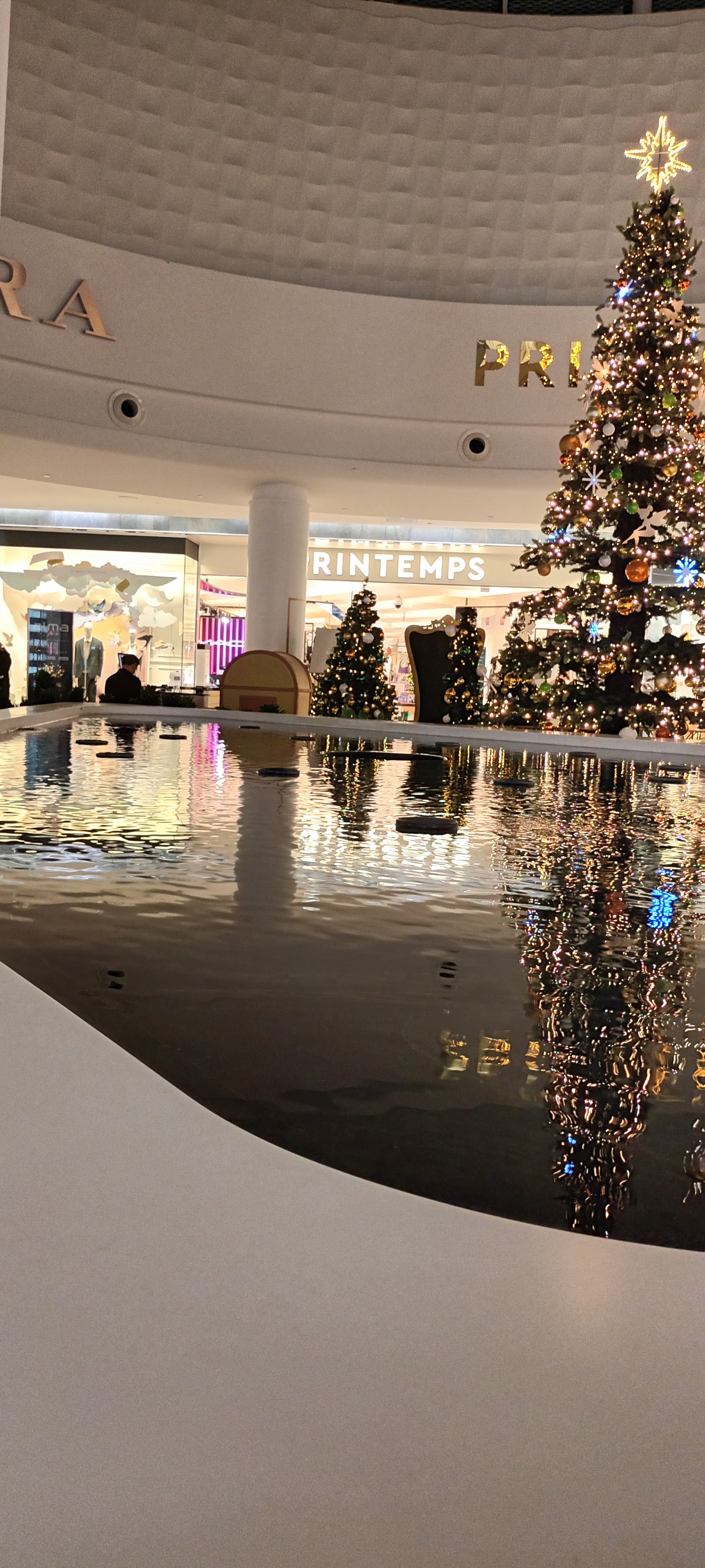 Photo n° 1 de l'avis de Renée.o fait le 11/12/2023 à 23:07