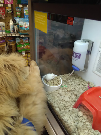 Pet Supply Store «Petco Animal Supplies», reviews and photos, 1150 Concord Ave #160, Concord, CA 94520, USA