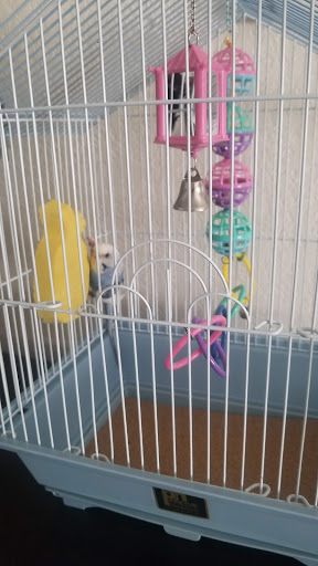 Pet Supply Store «Petco Animal Supplies», reviews and photos, 129 Mall Way, Marysville, WA 98270, USA