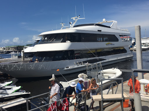 Travel Agency «Gallo Travel Agency», reviews and photos, 7216 SW 8th St #1, Miami, FL 33144, USA