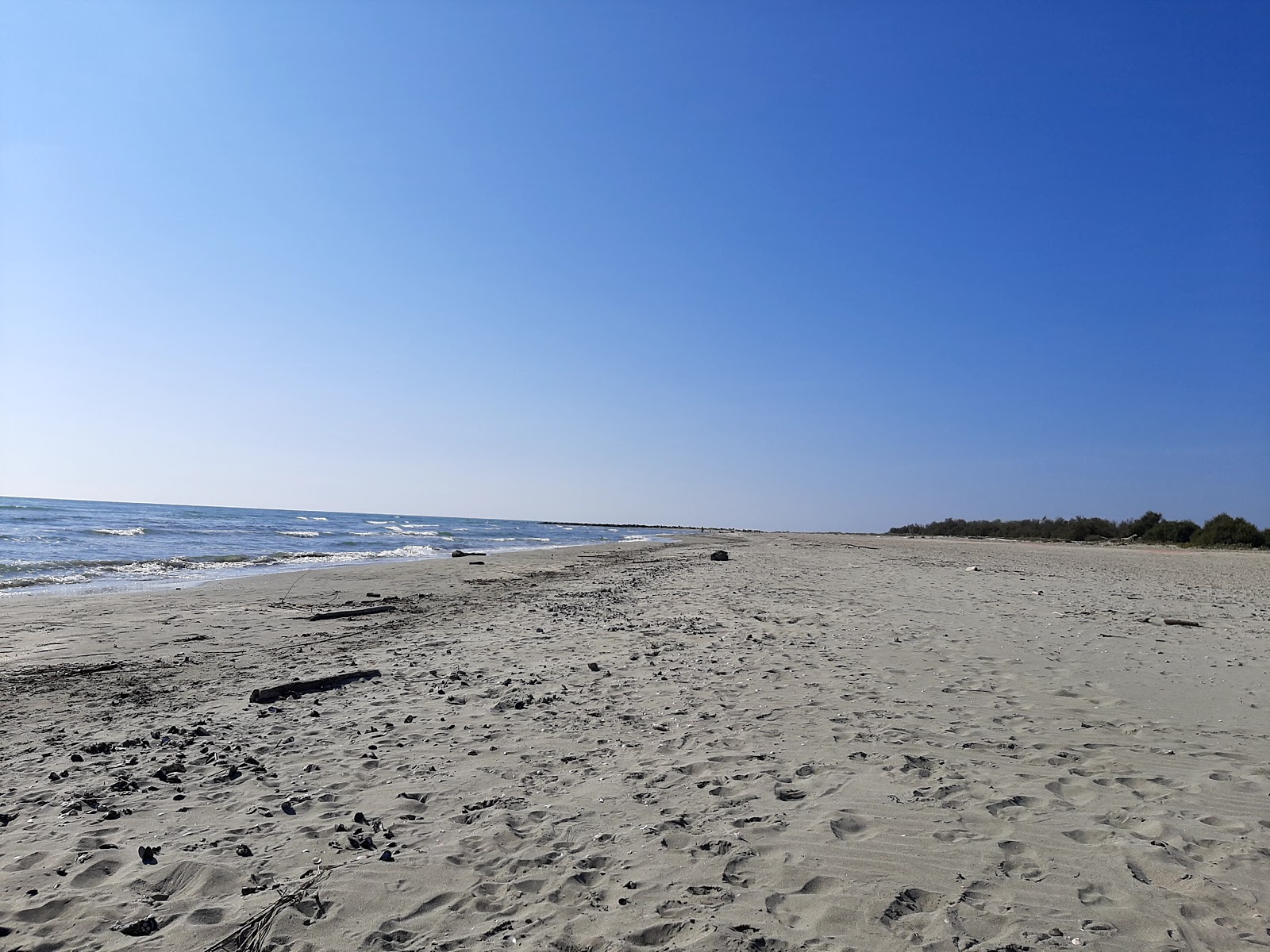 Foto af Spiaggia Delle Conchiglie med turkis rent vand overflade