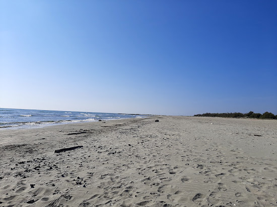 Spiaggia Delle Conchiglie