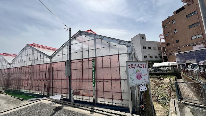 空飛ぶいちご東京