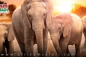 Africam Safari image
