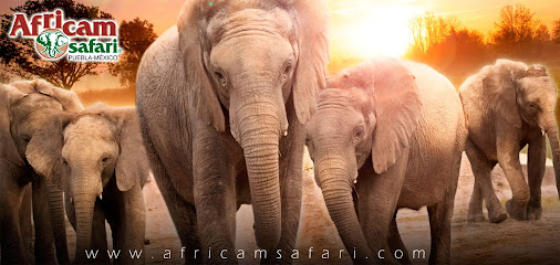 Africam Safari