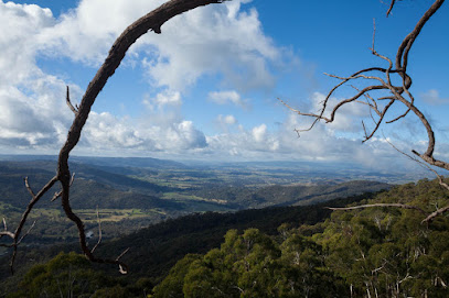 Tallarook State Forest