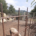 Photo n°1 de l'avis de Vincenzo.i fait le 17/08/2022 à 12:28 sur le  AGRITURISMO LA LOGGIA à Camerino