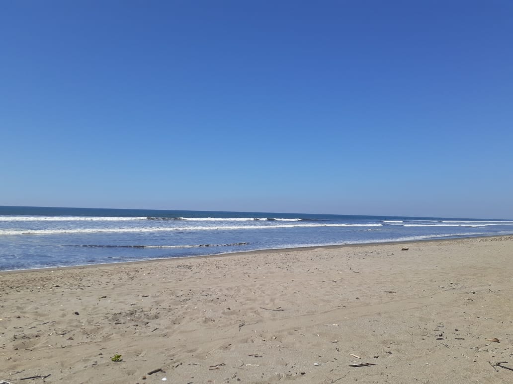Φωτογραφία του Quizala beach με επίπεδο καθαριότητας πολύ καθαρό