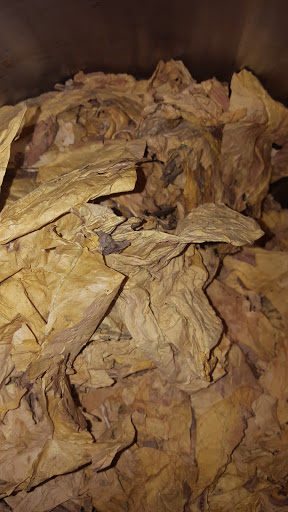 Tobacco Shop «Leaf Only», reviews and photos, 440 Middlefield St, Middletown, CT 06457, USA