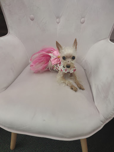 Craft Store «Hobby Lobby», reviews and photos, 3775 Oxford Station Way, Winston-Salem, NC 27103, USA