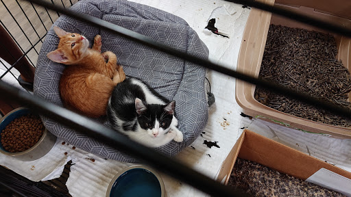 Pet Supply Store «Our Pet World», reviews and photos, 380 Semoran Commerce Pl, Apopka, FL 32703, USA