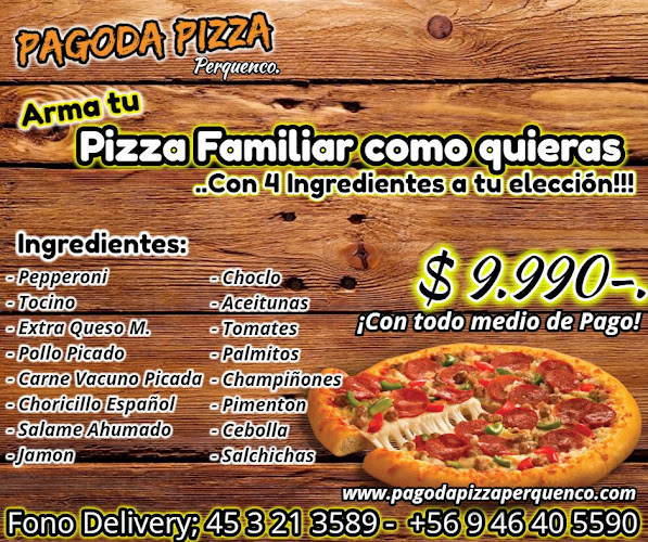 Opiniones de Pagodapizza Delivery en Perquenco - Pizzeria