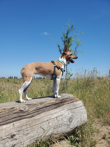 Park «Powell Butte Nature Park», reviews and photos, 16160 SE Powell Blvd, Portland, OR 97236, USA