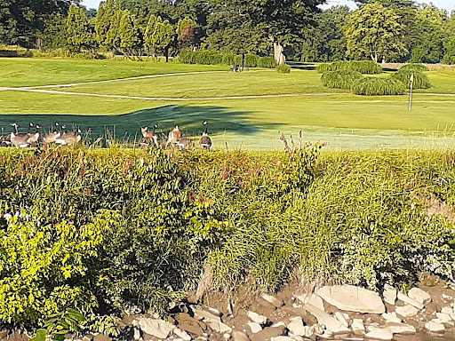 Public Golf Course «Rouge Park Golf Course», reviews and photos, 11701 Burt Rd, Detroit, MI 48228, USA
