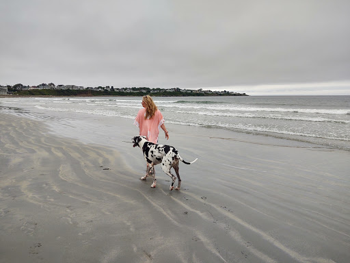 General Store «Long Sands General Store», reviews and photos, 121 Long Beach Ave, York, ME 03909, USA