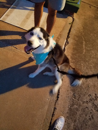 Pet Supply Store «PetSmart», reviews and photos, 1417 W Interstate 240 Service Rd, Oklahoma City, OK 73159, USA