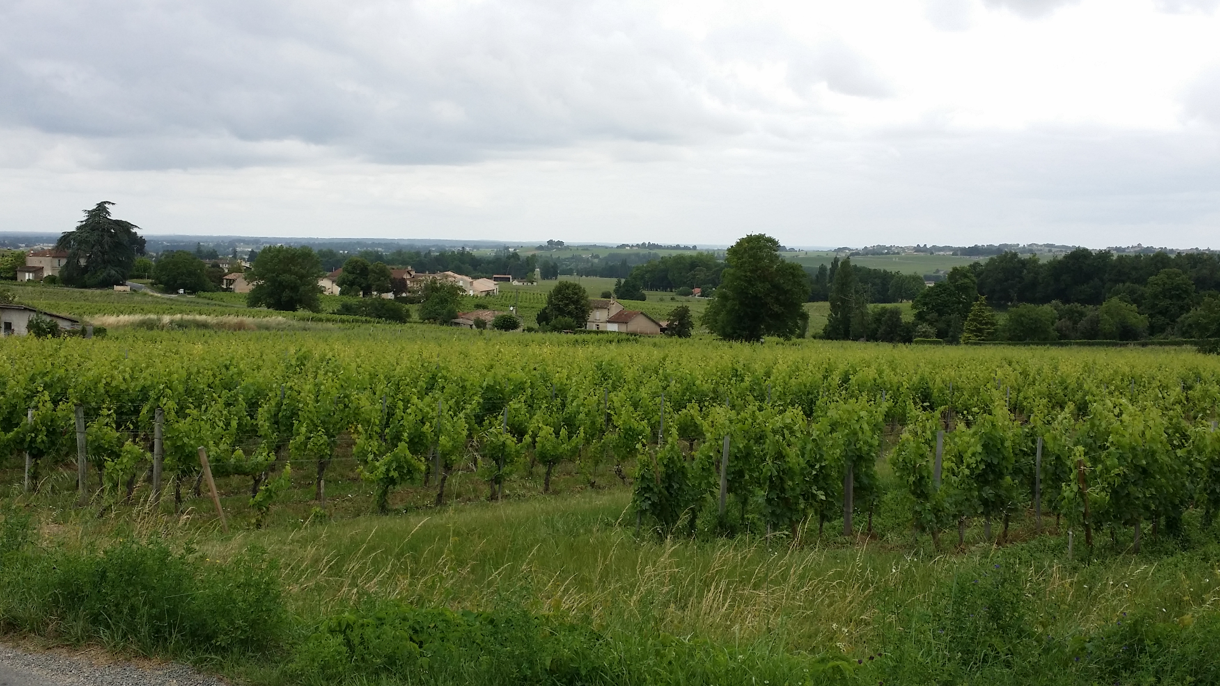 Photo n° 1 de l'avis de Paul.h fait le 07/06/2017 à 10:58