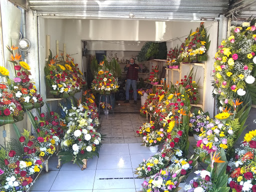 FLORERIA ALEJANDRA florería en  en la zona Centro