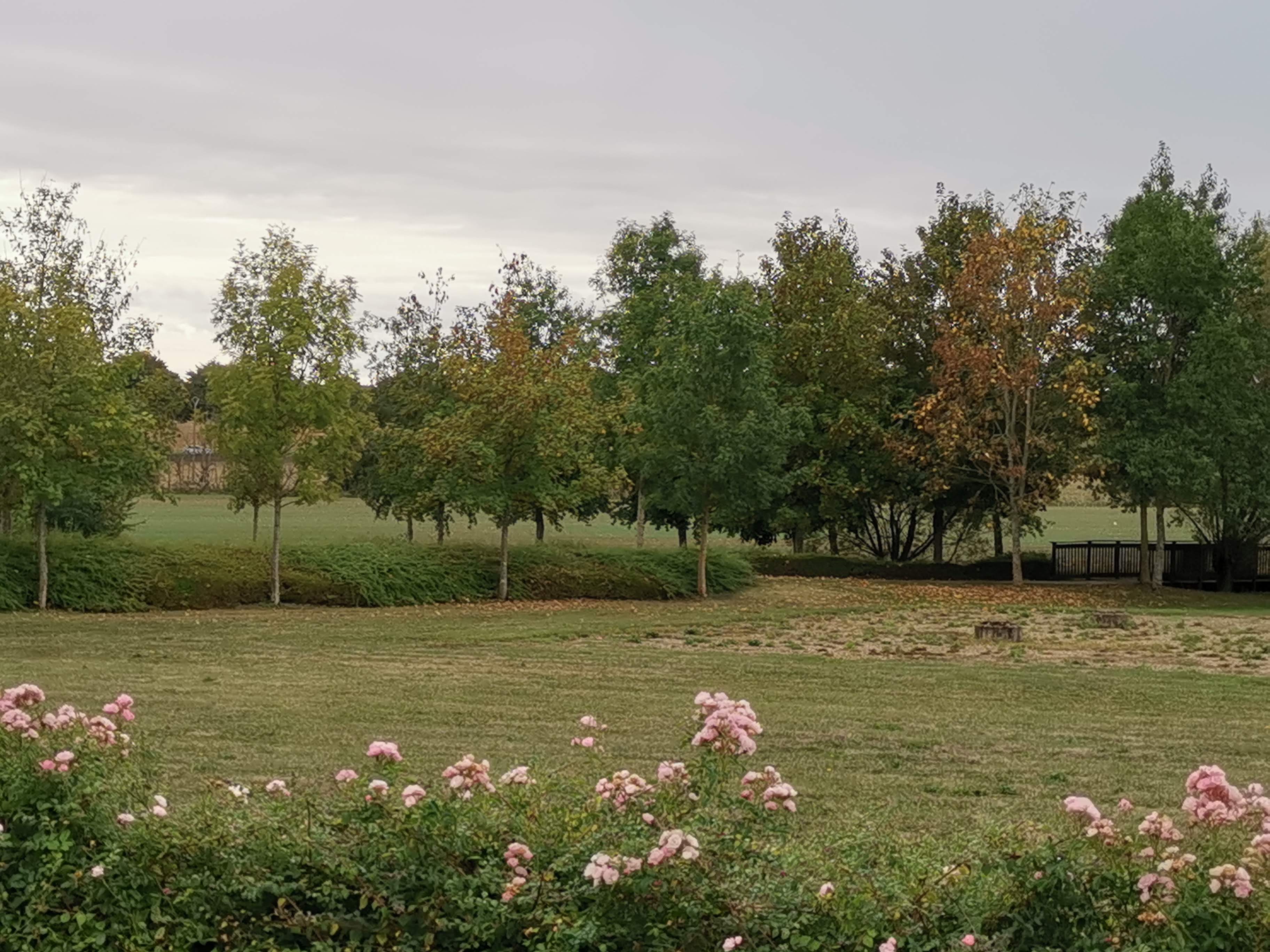Photo n° 23 de l'avis de Benjistarck. fait le 12/10/2020 à 12:57
