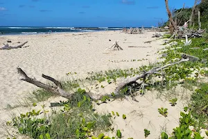 Shark Bay picnic area image