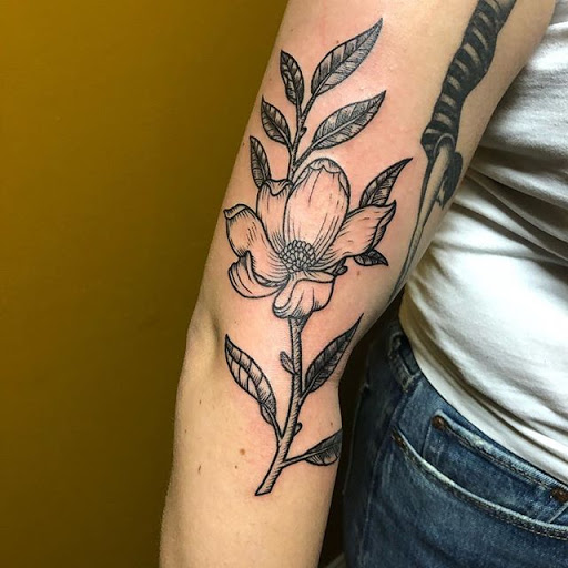 Tattoo Shop «Thistle and Pearl Tattoo», reviews and photos, 107 Merrimon Ave #310, Asheville, NC 28801, USA
