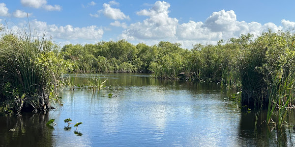 Everglades Swamp Tours - Airboat Rides Fort Lauderdale