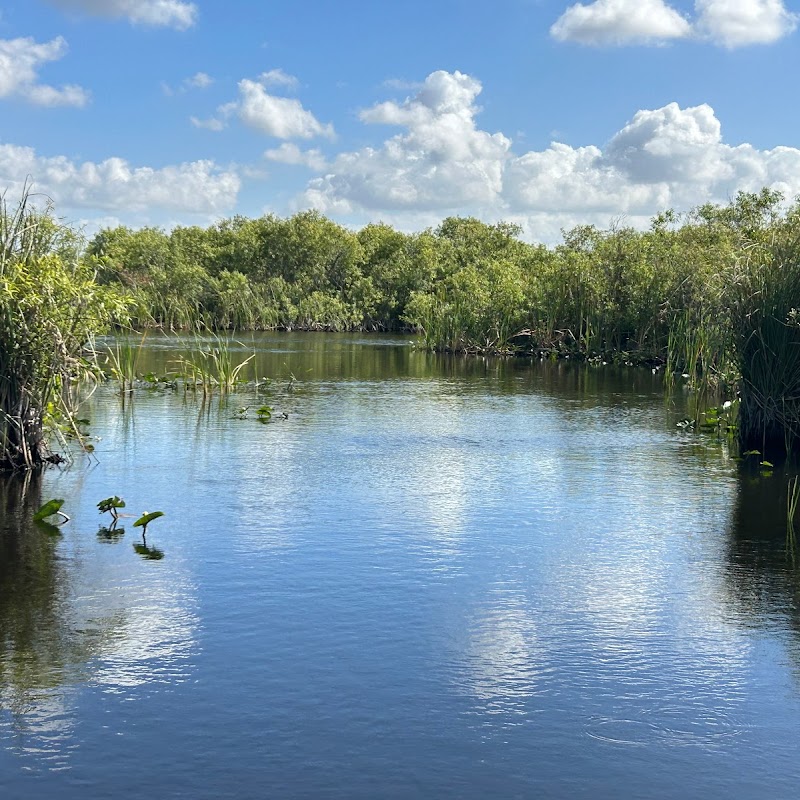 Everglades Swamp Tours - Airboat Rides Fort Lauderdale