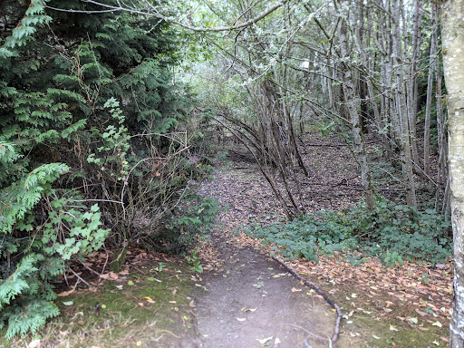 Park «Highlands Park», reviews and photos, 16123 Highlands Blvd SE, Mill Creek, WA 98012, USA
